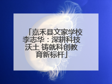 嘉禾县文家学校李志华：深耕科技沃土 铸就科创教育新标杆