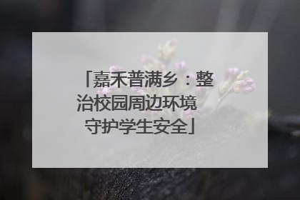 嘉禾普满乡：整治校园周边环境 守护学生安全