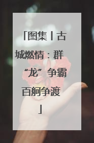 图集丨古城燃情：群“龙”争霸 百舸争渡
