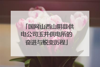 国网山西山阴县供电公司玉井供电所的奋进与蜕变历程