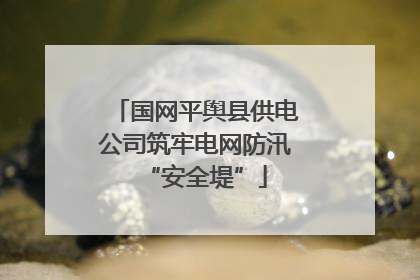 国网平舆县供电公司筑牢电网防汛“安全堤”