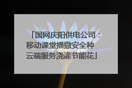 国网庆阳供电公司：移动课堂播撒安全种 云端服务浇灌节能花