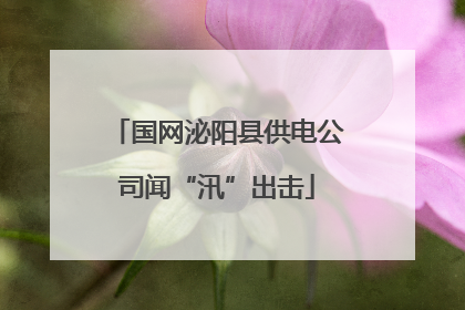国网泌阳县供电公司闻“汛”出击