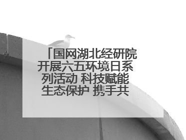 国网湖北经研院开展六五环境日系列活动 科技赋能生态保护 携手共建绿色电网