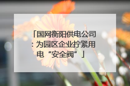 国网衡阳供电公司：为园区企业拧紧用电“安全阀”