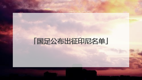 国足公布出征印尼名单