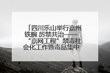 四川乐山举行嘉州铁腕 厉禁共治——“嘉网工程”禁毒社会化工作暨毒品集中销毁启动仪式