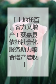 土地托管、省力又增产！获嘉县依托社会化服务助力粮食增产增收