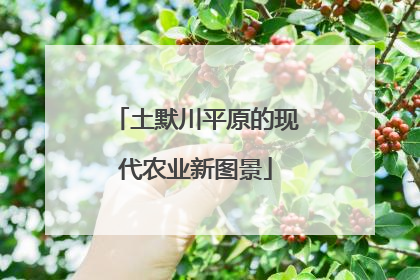 土默川平原的现代农业新图景