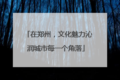 在郑州，文化魅力沁润城市每一个角落