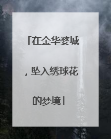在金华婺城，坠入绣球花的梦境