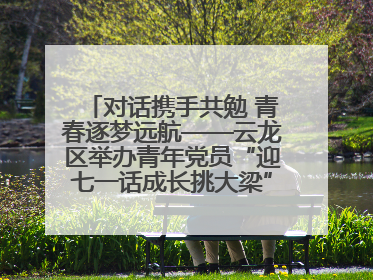 对话携手共勉 青春逐梦远航——云龙区举办青年党员“迎七一话成长挑大梁”交流活动