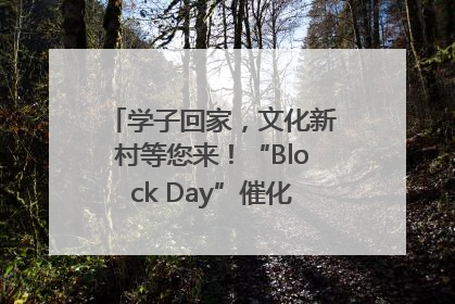 学子回家，文化新村等您来！“Block Day”催化学院式街区新生态