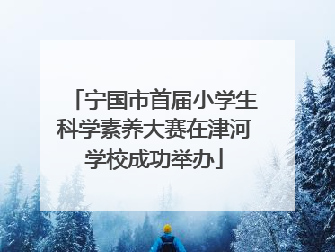 宁国市首届小学生科学素养大赛在津河学校成功举办
