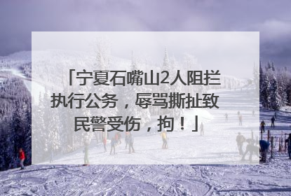 宁夏石嘴山2人阻拦执行公务，辱骂撕扯致民警受伤，拘！