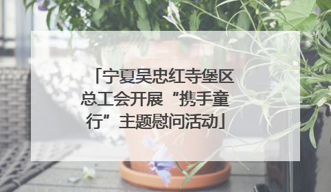 宁夏吴忠红寺堡区总工会开展“携手童行”主题慰问活动