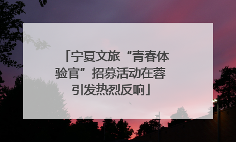 宁夏文旅“青春体验官”招募活动在蓉引发热烈反响