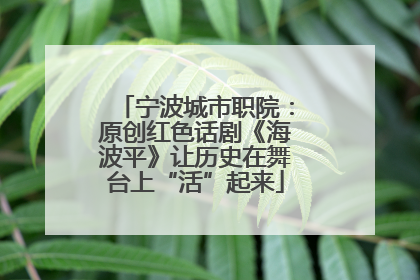 宁波城市职院：原创红色话剧《海波平》让历史在舞台上“活”起来