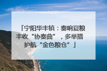 宁阳华丰镇：奏响夏粮丰收“协奏曲”，多举措护航“金色粮仓”