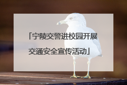 宁陵交警进校园开展交通安全宣传活动