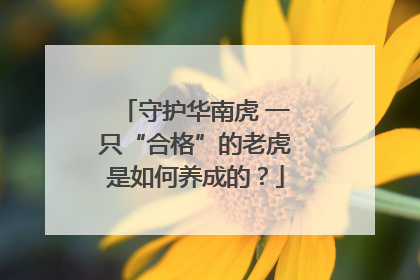 守护华南虎 一只“合格”的老虎是如何养成的？