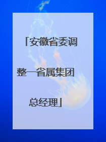 安徽省委调整一省属集团总经理