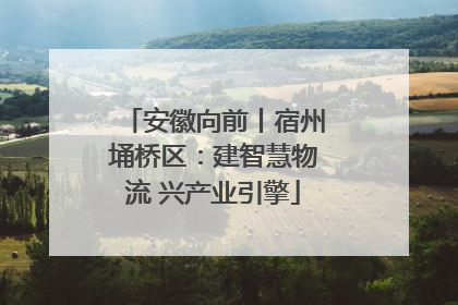 安徽向前丨宿州埇桥区：建智慧物流 兴产业引擎