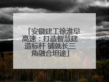 安徽建工徐淮阜高速：打造智慧建造标杆 铺就长三角融合坦途