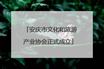 安庆市文化和旅游产业协会正式成立