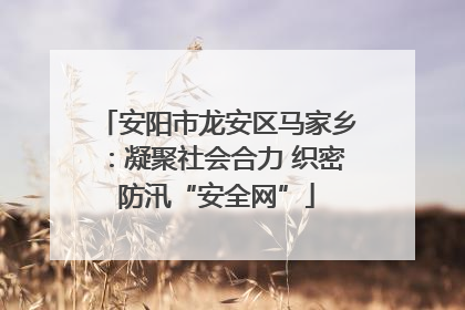 安阳市龙安区马家乡：凝聚社会合力 织密防汛“安全网”
