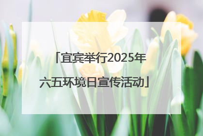宜宾举行2025年六五环境日宣传活动