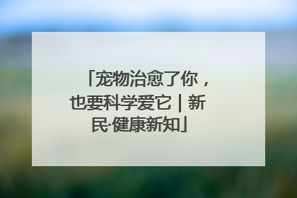 宠物治愈了你，也要科学爱它｜新民·健康新知