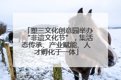 塑三文化创意园举办“非遗文化节”，集活态传承、产业赋能、人才孵化于一体