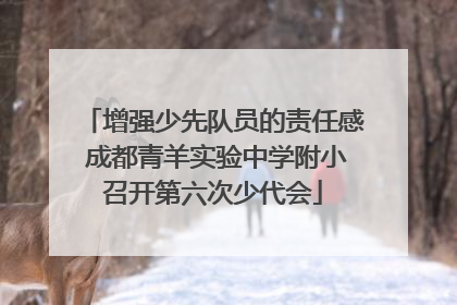 增强少先队员的责任感 成都青羊实验中学附小召开第六次少代会