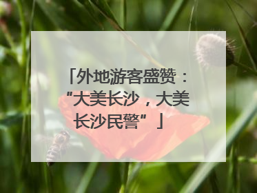 外地游客盛赞：“大美长沙，大美长沙民警”