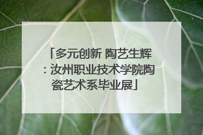 多元创新 陶艺生辉：汝州职业技术学院陶瓷艺术系毕业展