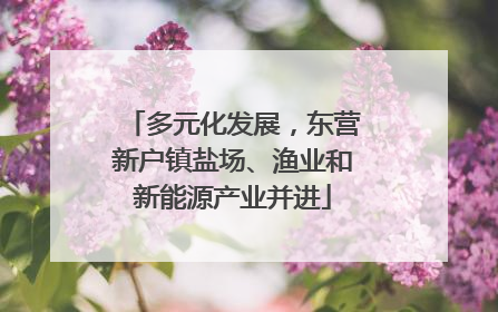 多元化发展，东营新户镇盐场、渔业和新能源产业并进