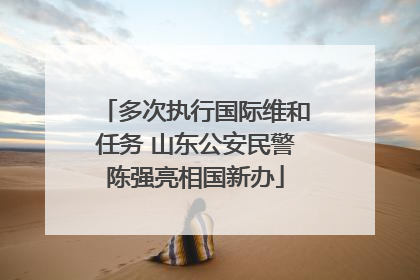 多次执行国际维和任务 山东公安民警陈强亮相国新办