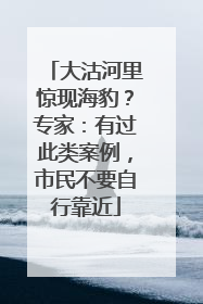 大沽河里惊现海豹？专家：有过此类案例，市民不要自行靠近