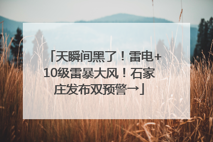 天瞬间黑了！雷电+10级雷暴大风！石家庄发布双预警→
