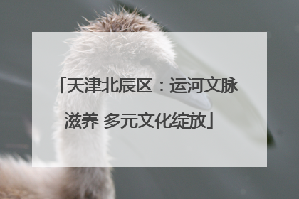 天津北辰区：运河文脉滋养 多元文化绽放