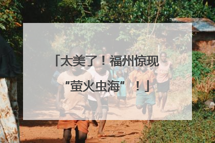 太美了！福州惊现“萤火虫海”！