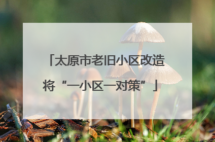 太原市老旧小区改造将“一小区一对策”