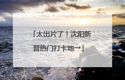 太出片了！沈阳新晋热门打卡地→