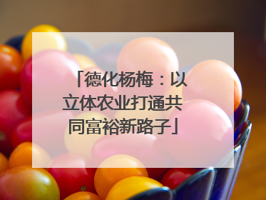 德化杨梅：以立体农业打通共同富裕新路子