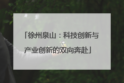 徐州泉山：科技创新与产业创新的双向奔赴