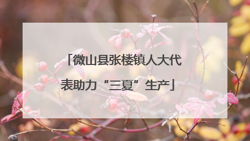 微山县张楼镇人大代表助力“三夏”生产