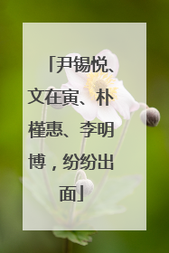 尹锡悦、文在寅、朴槿惠、李明博，纷纷出面