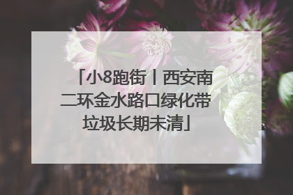 小8跑街丨西安南二环金水路口绿化带垃圾长期未清
