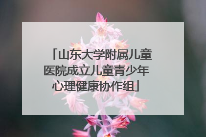 山东大学附属儿童医院成立儿童青少年心理健康协作组